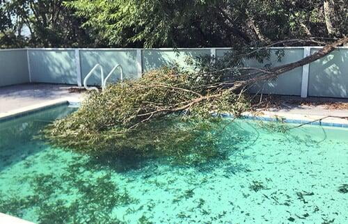 OBX Pool Storm Clean Services