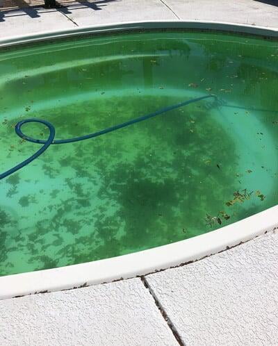 Green Pool Treatment